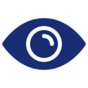 Vision